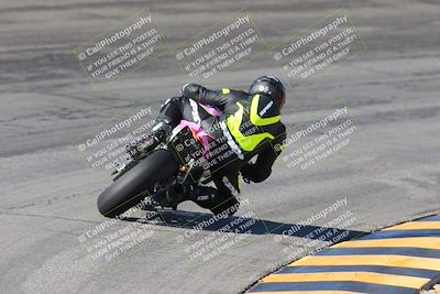media/Feb-04-2024-SoCal Trackdays (Sun) [[91d6515b1d]]/4-Bowl Backside (11am)/